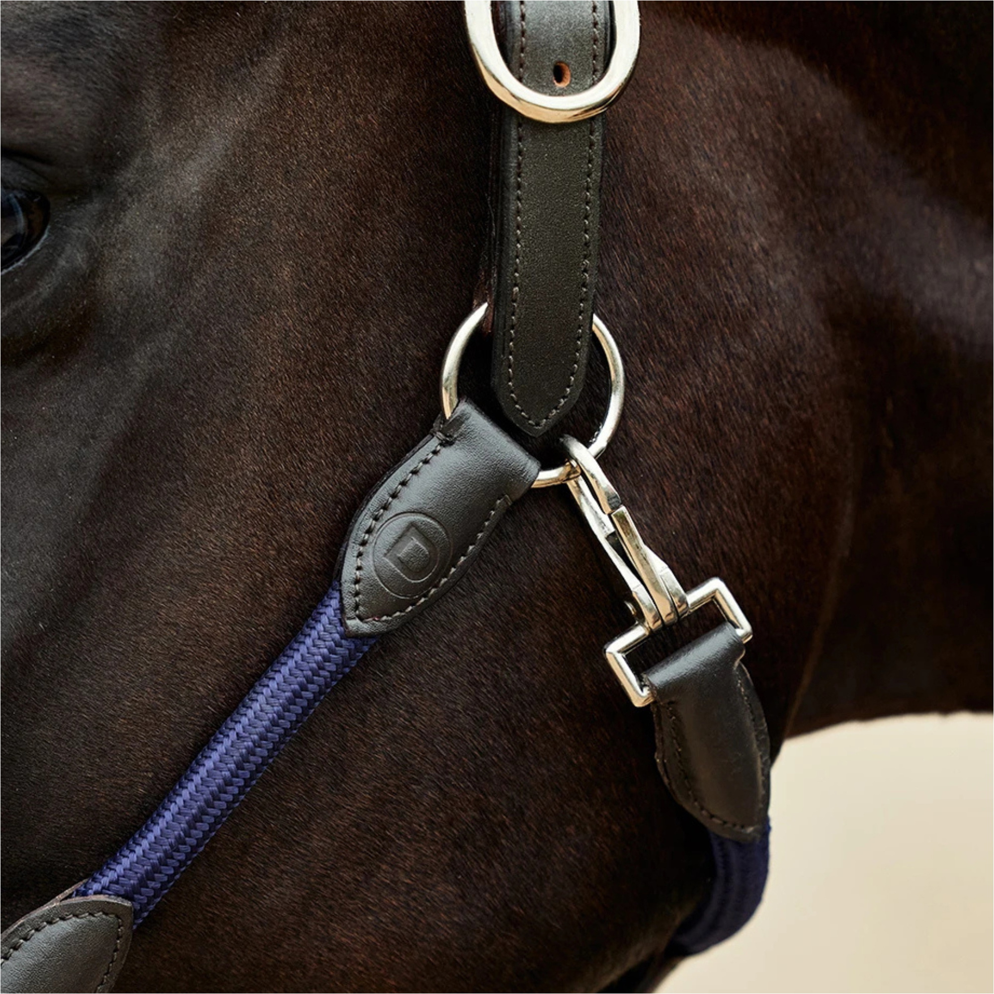 2026 Dublin Lederen Touw Halster 1031533 - Navy / Bruin